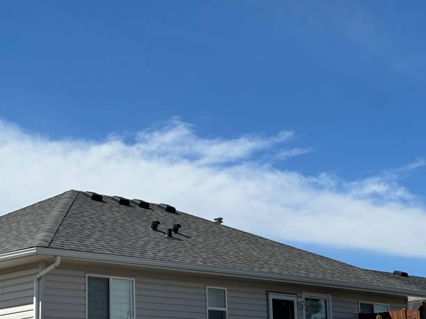 Fast & Reliable Emergency Roof Repairs in Westernport, MD